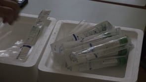 Arriben les PCR d'automostra a les escoles