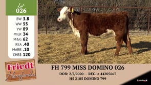 Lot #026 - FH 799 MISS DOMINO 026