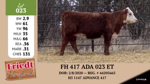 Lot #023 - FH 417 ADA 023 ET