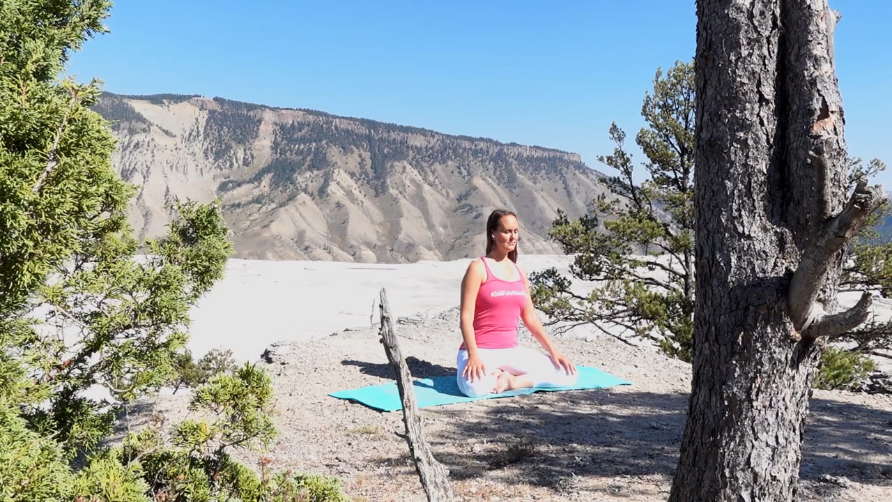 15- Cours de yoga sur l'équilibre avec Maryse Lehoux (37 minutes)