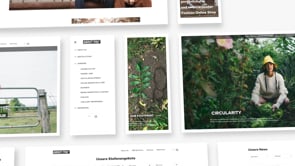 mindtwo Webseite Referenzen
