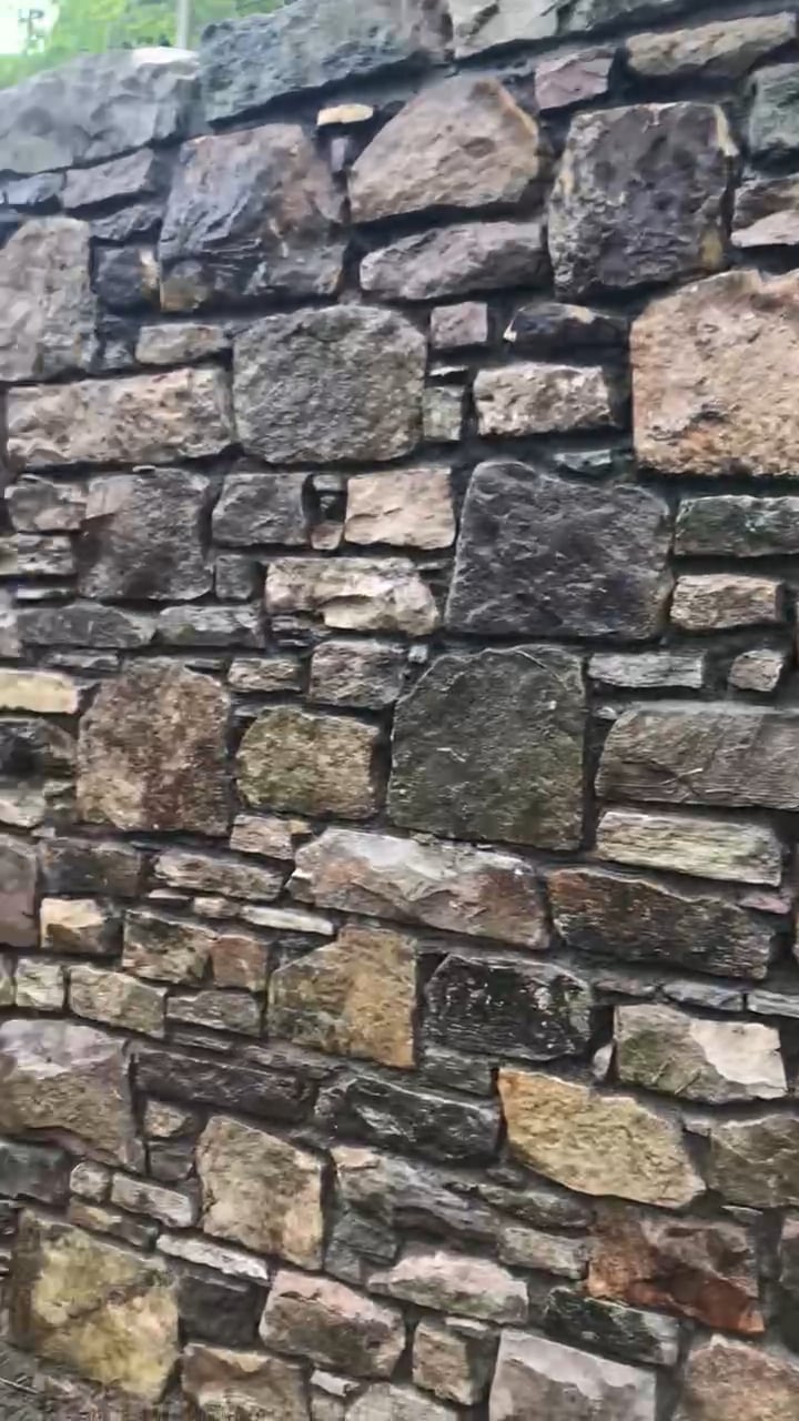 https://i.vimeocdn.com/video/1046589088-5d8f7fb0272d1caa5c3ae43930a94bef7720b1bde35f99a6456c470424913ab1-d