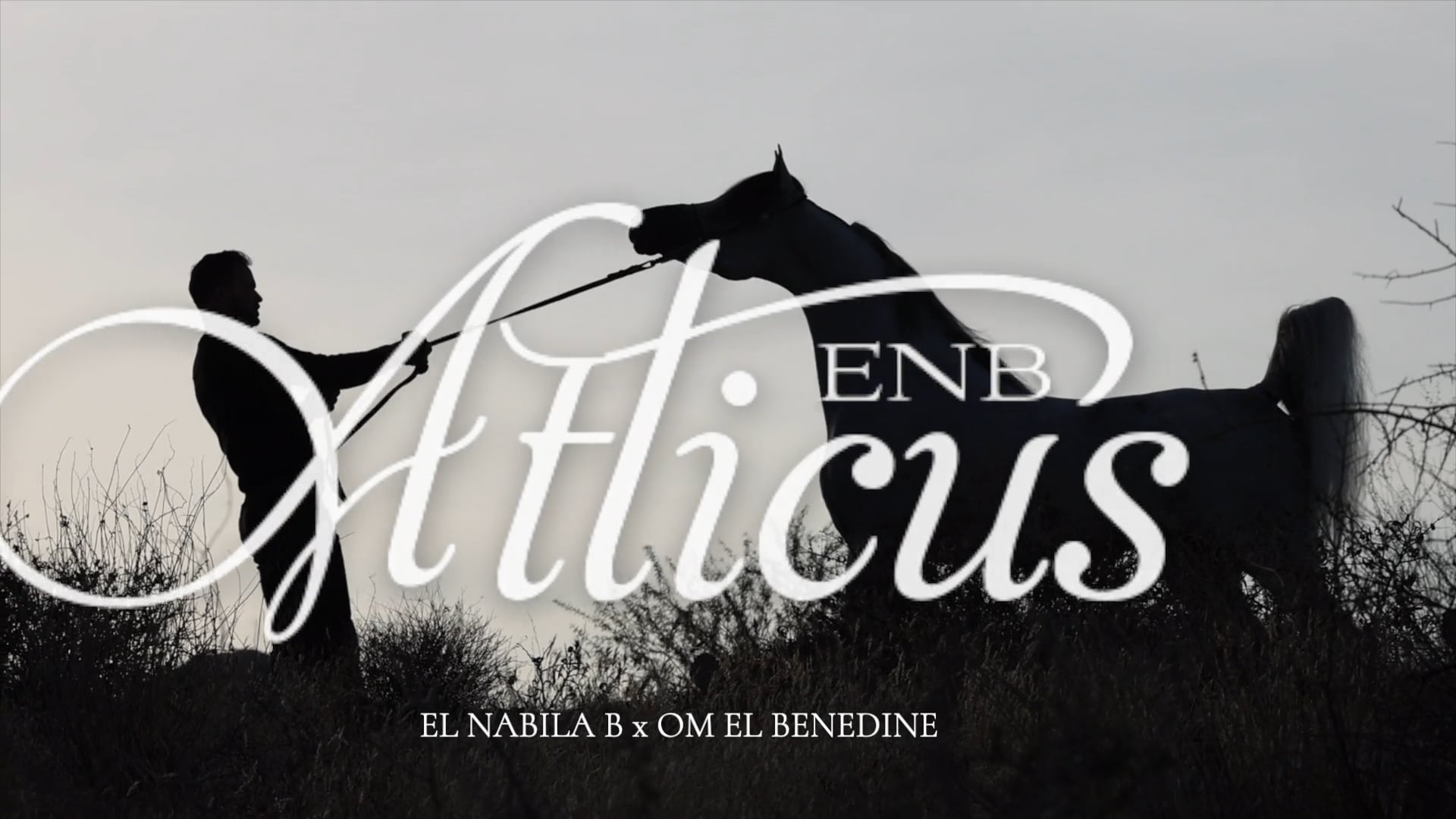 Atticus ENB