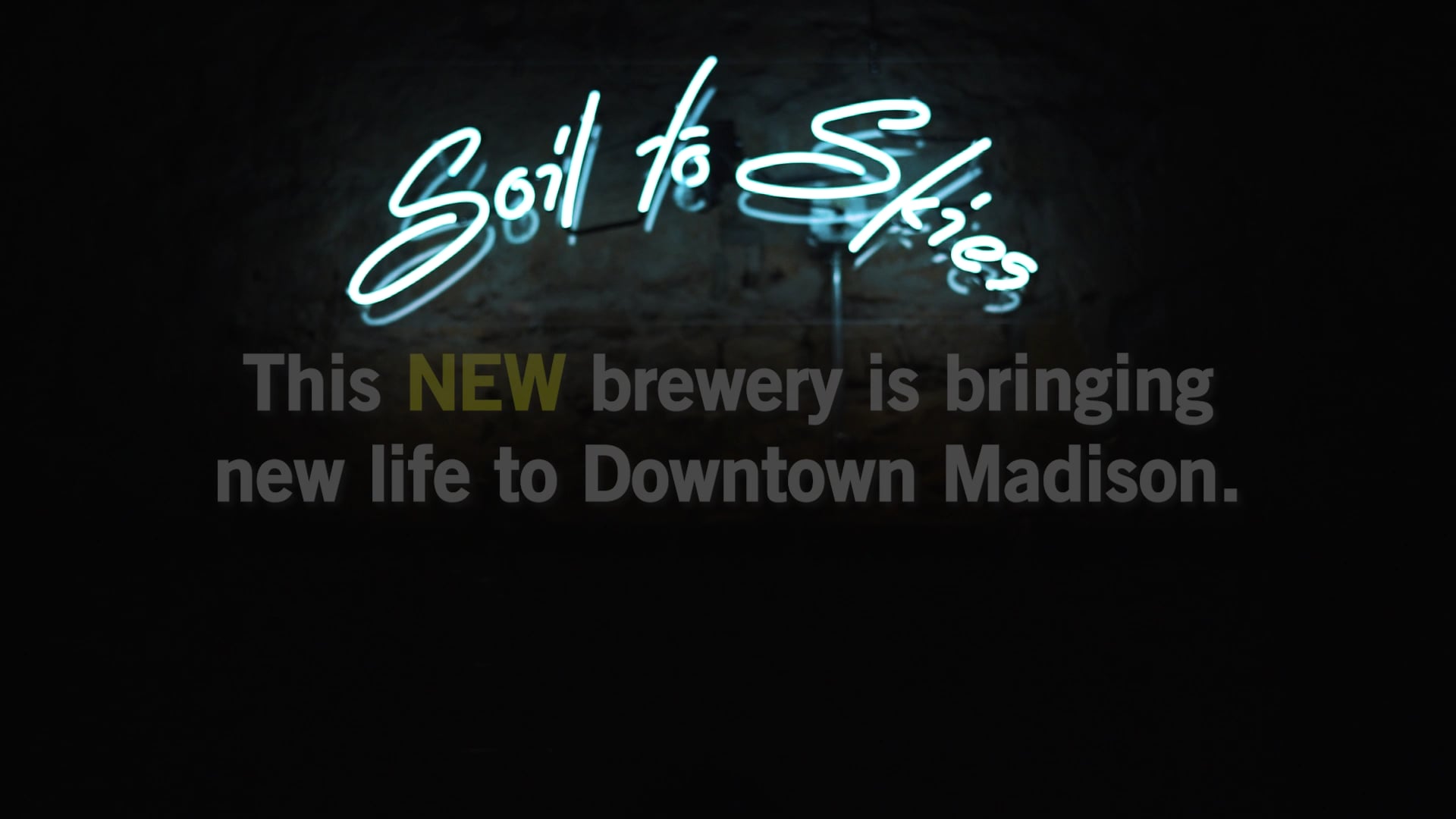 WiBrew_NewBusiness_Young Blood