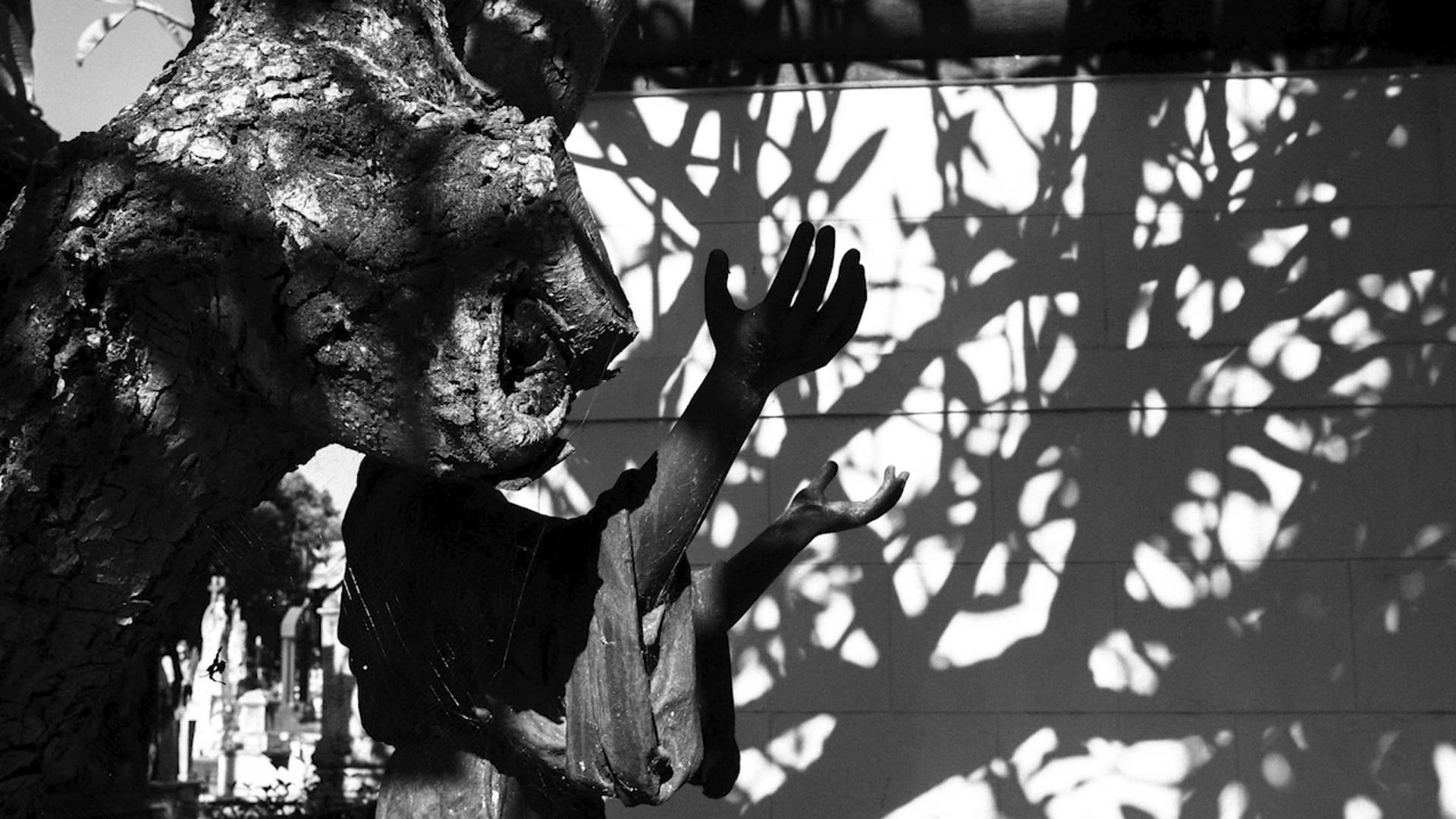 Presidents, Virus and Gravediggers