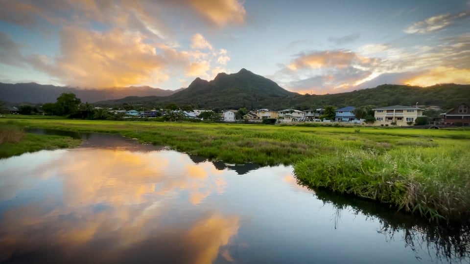 The wetland at sunset