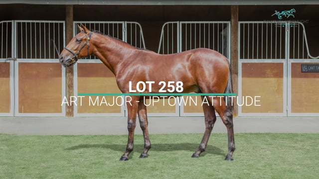 Lot 258