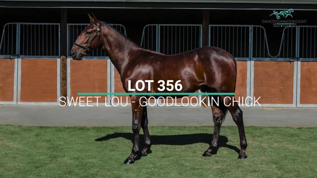 Lot 356