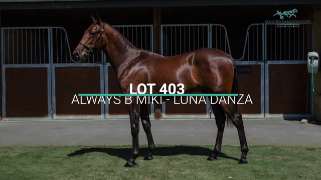 Lot 403