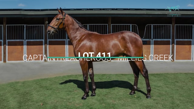 Lot 411