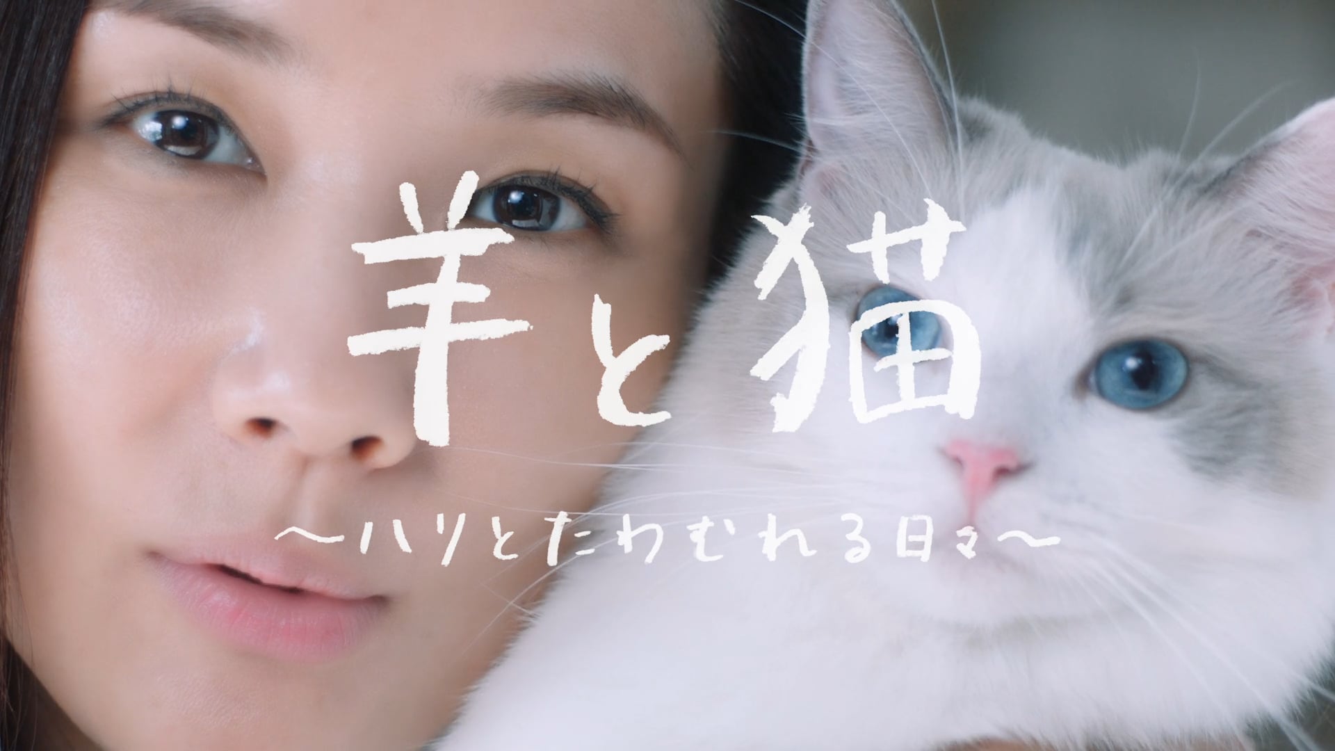 花王 SOFINA リフトプロフェッショナル