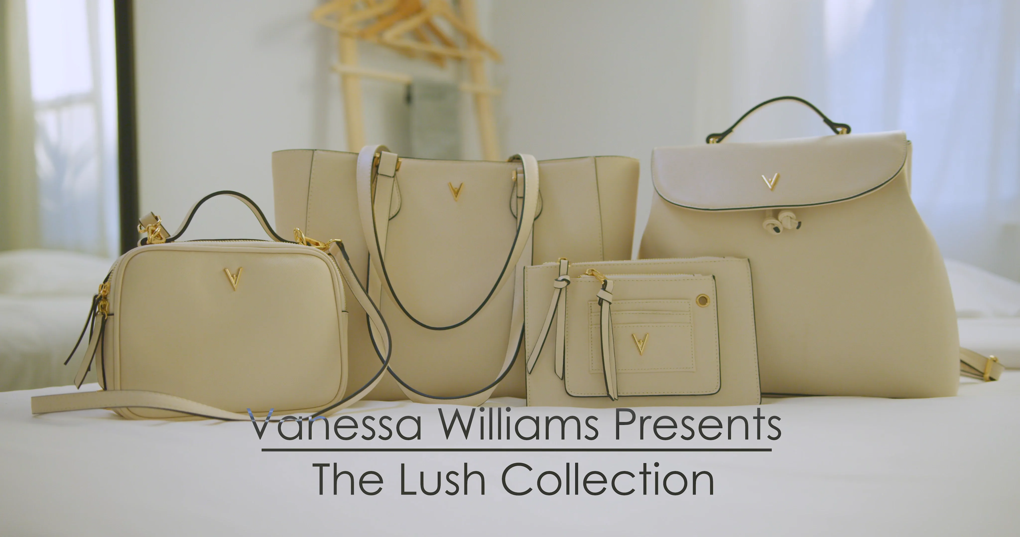 Vanessa williams best sale crossbody purse