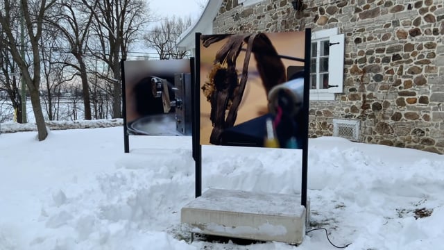 Vignette vidéo pour « 2021EVS32069O »