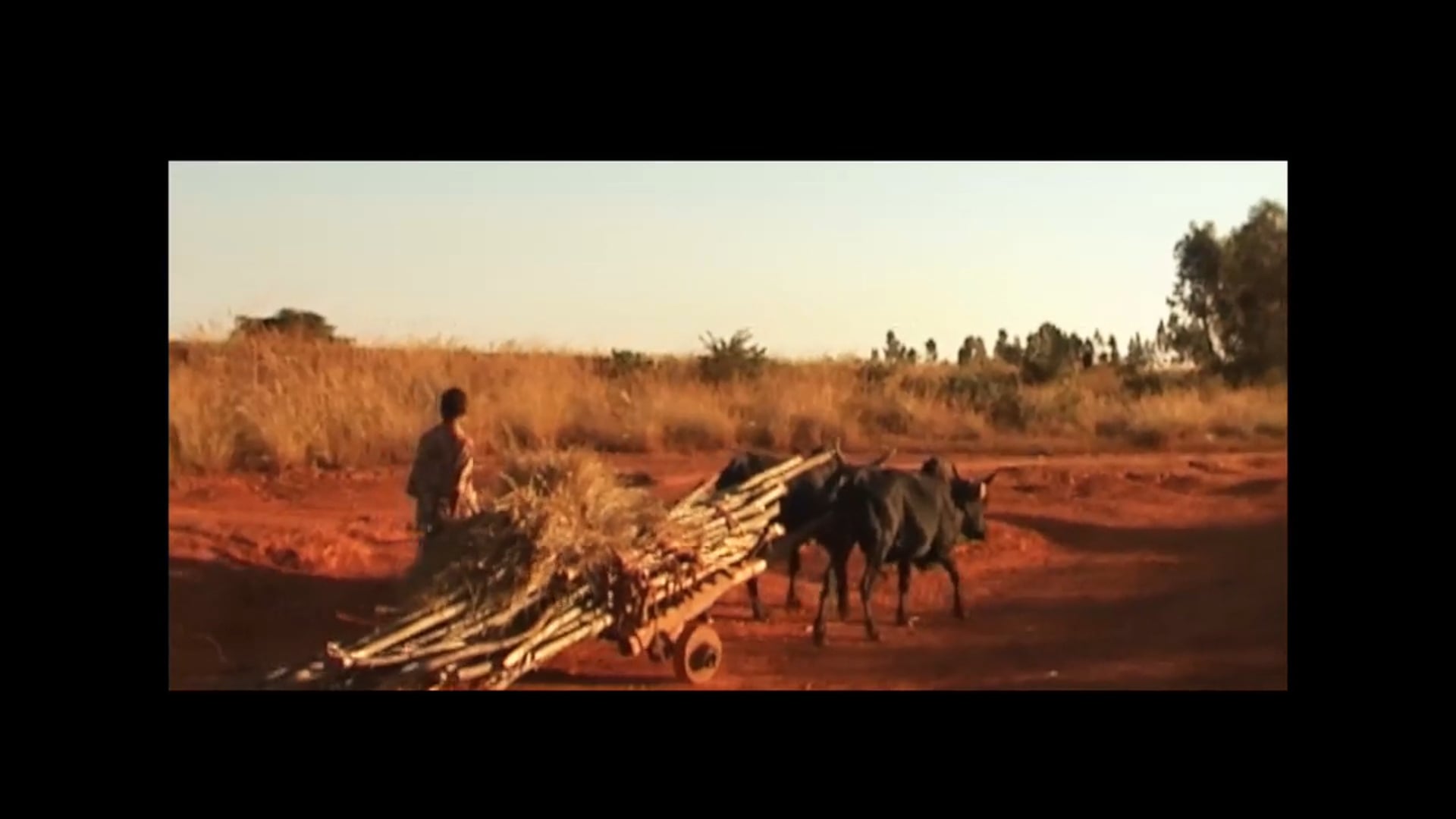 Madagascar
