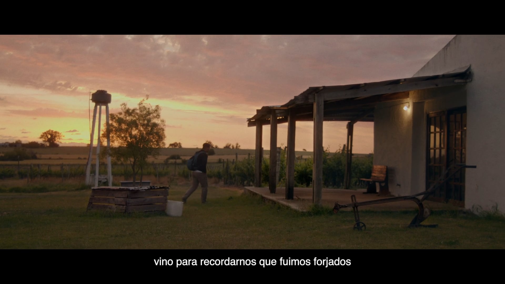 ¿Para qué vino el 2020?