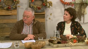 Cocktail - 5 februari 2019