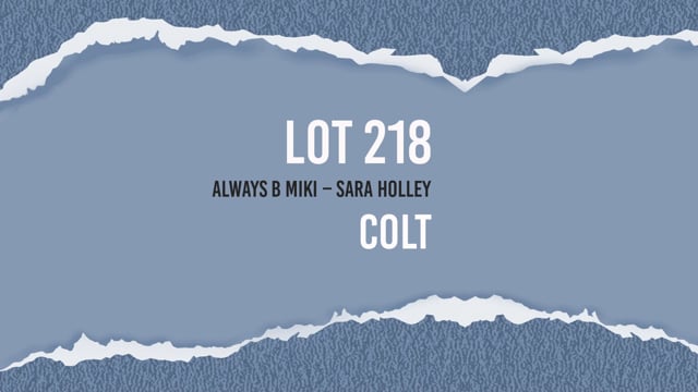 Lot 218