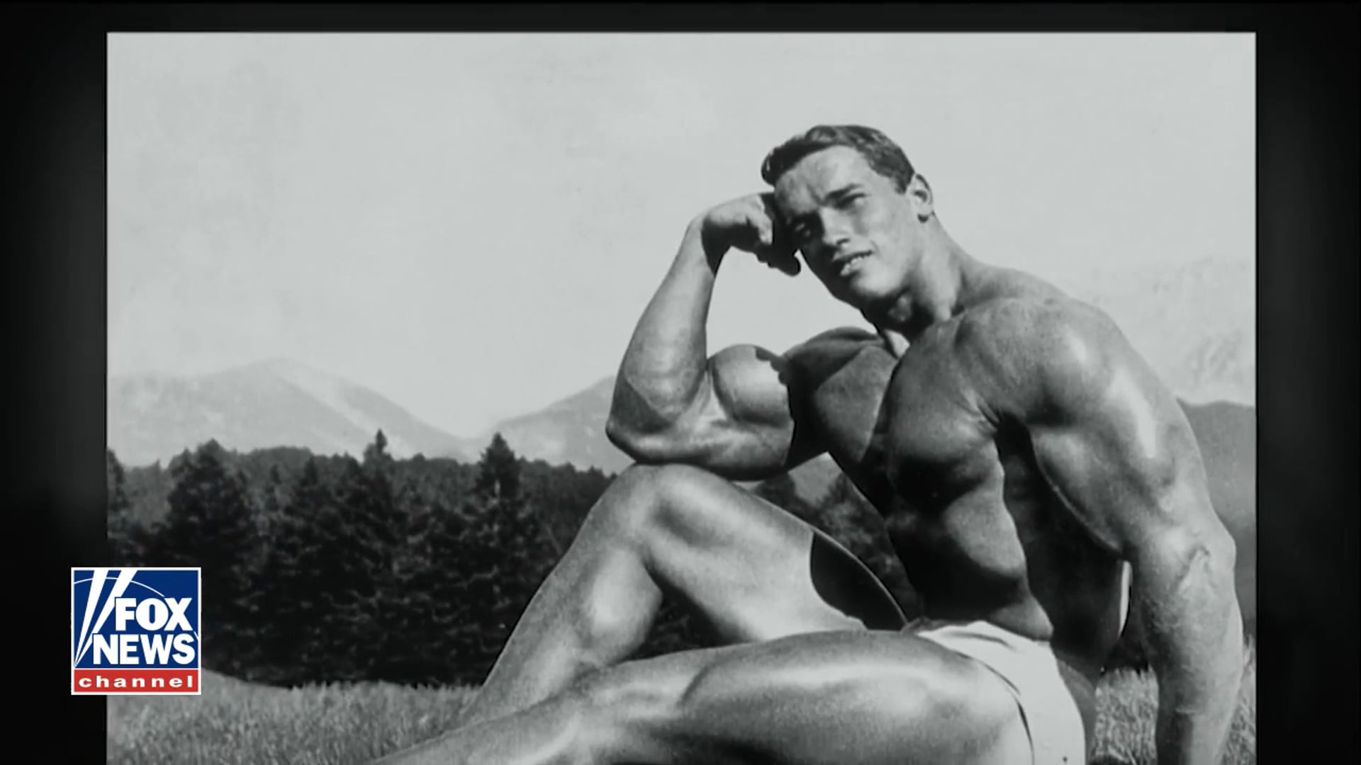 OBJECTified | Arnold Schwarzenegger