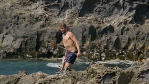 BARTEL INTO THE WILD