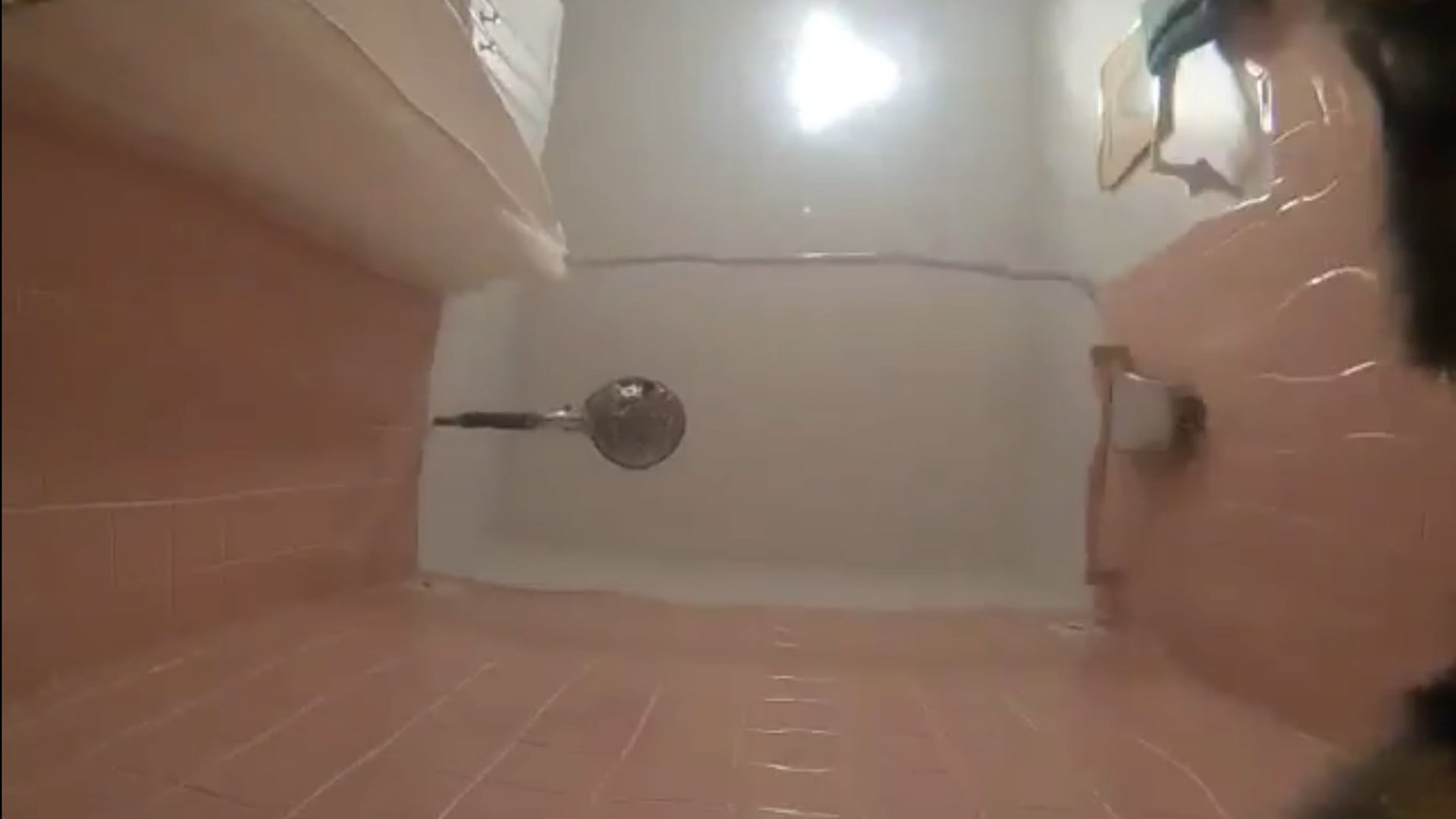 IntroFunny