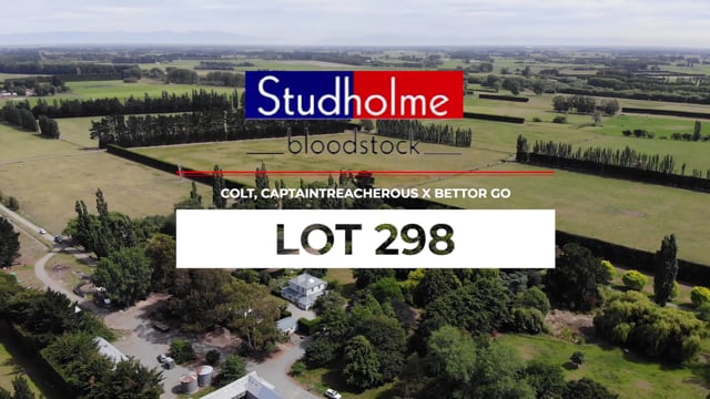 Lot 298