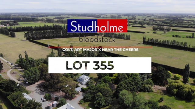 Lot 355
