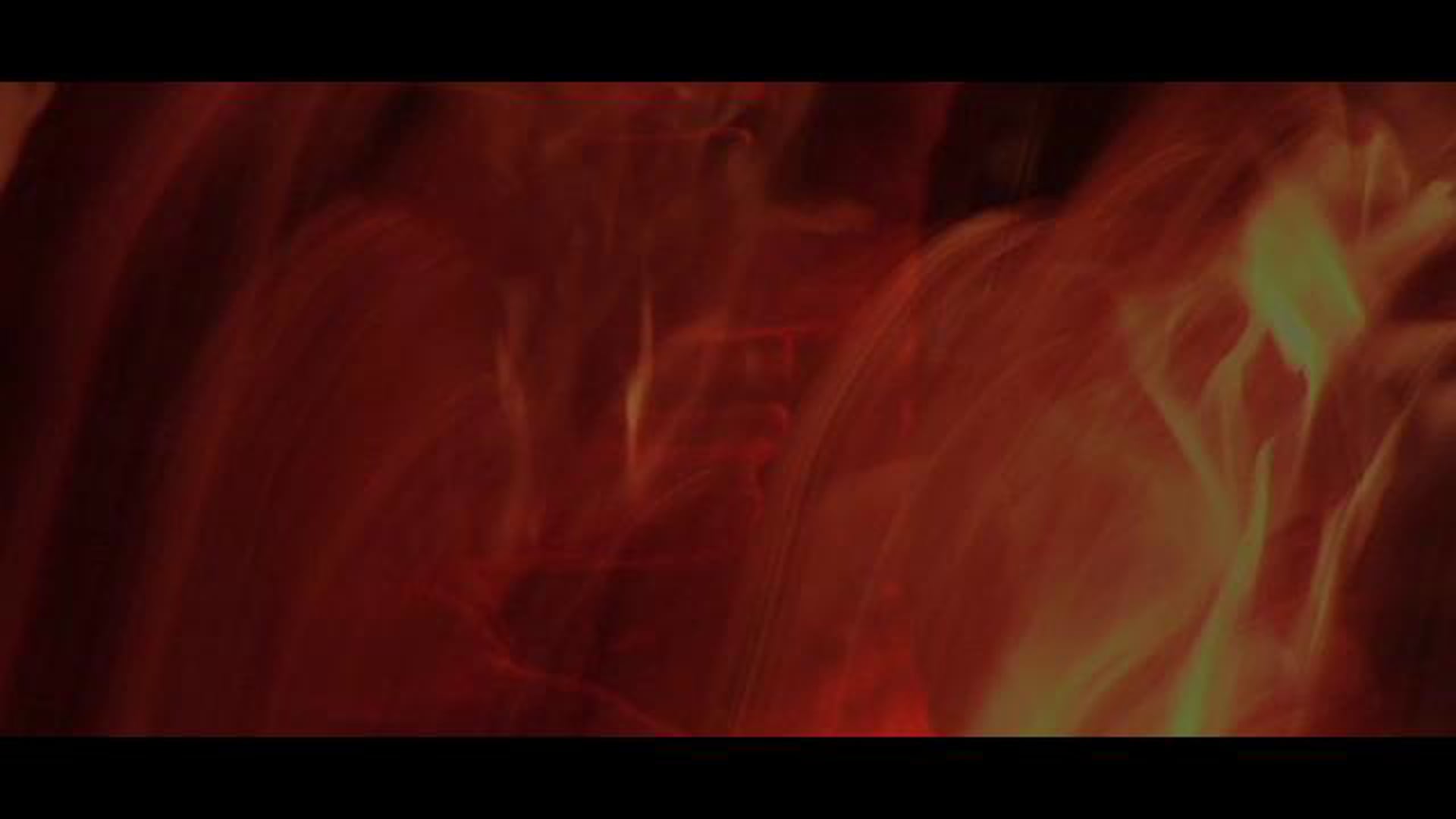 La Celebración por satorilab