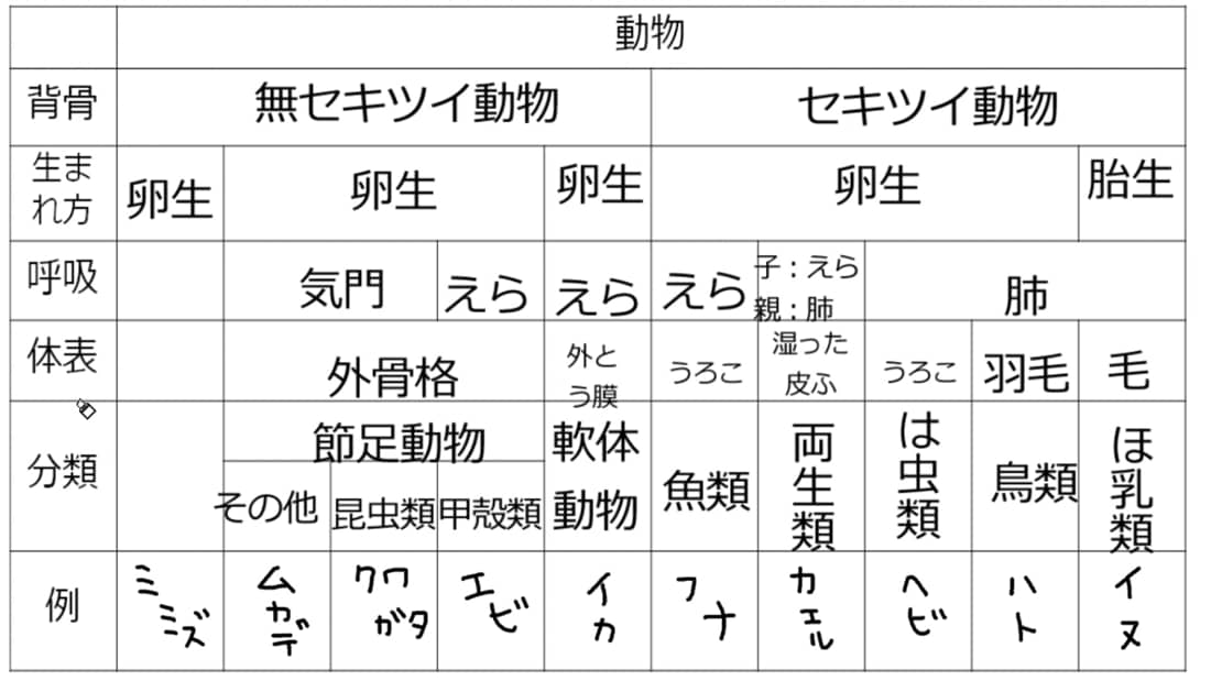 動物のなかま分け Ict教材eboard イーボード