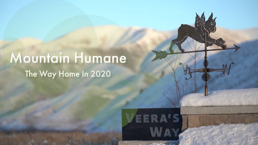 vimeo-video-thumbnail