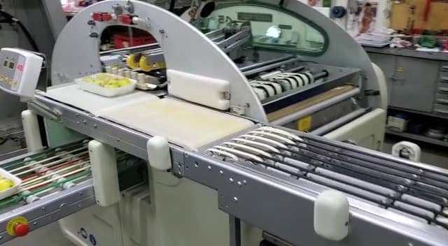 Stretchfilm Wrapping Machine WALDYSSA AUTOMAC 45 Www nesto bg On Vimeo