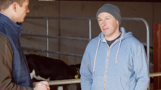 How one Wicklow farmer is protecting his farm from calf scour - sponsored