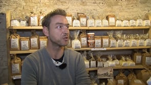 Molen Halsteren - 19 januari 2017