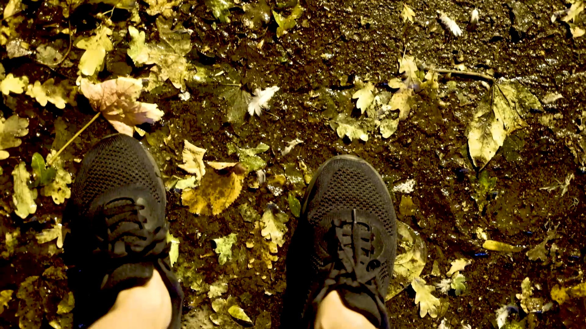 Nine street Hamburg