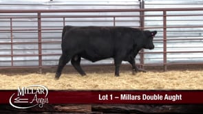 Lot #1 - MILLARS DOUBLE AUGHT