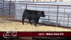 Lot #2 - MILLARS DUKE 015