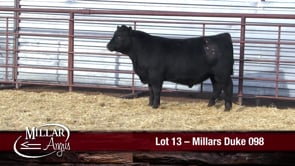 Lot #13 - MILLARS DUKE 098