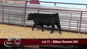 Lot #17 - MILLARS RENOWN 043