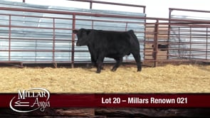 Lot #20 - MILLARS RENOWN 021