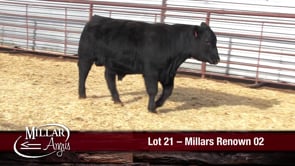 Lot #21 - MILLARS RENOWN 02