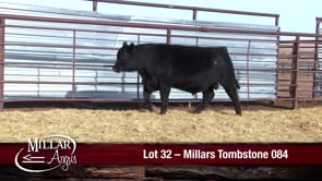 Lot #32 - MILLARS TOMBSTONE 084