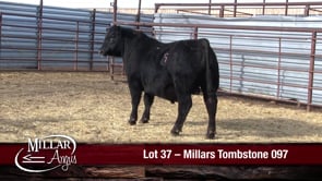 Lot #37 - MILLARS TOMBSTONE 097