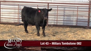 Lot #43 - MILLARS TOMBSTONE 082