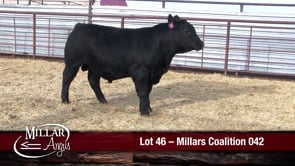 Lot #46 - MILLARS COALITION 042