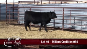 Lot #49 - MILLARS COALITION 064
