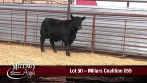 Lot #50 - MILLARS COALITION 059
