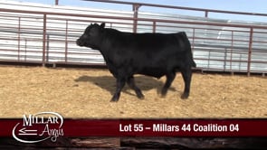 Lot #55 - MILLARS 44 COALITION 04