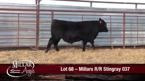 Lot #68 - MILLARS R/R STINGRAY 037