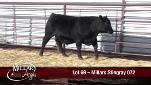 Lot #69 - MILLARS STINGRAY 072