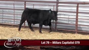 Lot #79 - MILLARS CAPITALIST 079