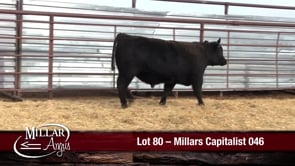 Lot #80 - MILLARS CAPITALIST 046